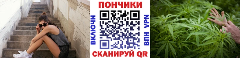 Бошки марихуана гибрид  Купить где  Полярные Зори 